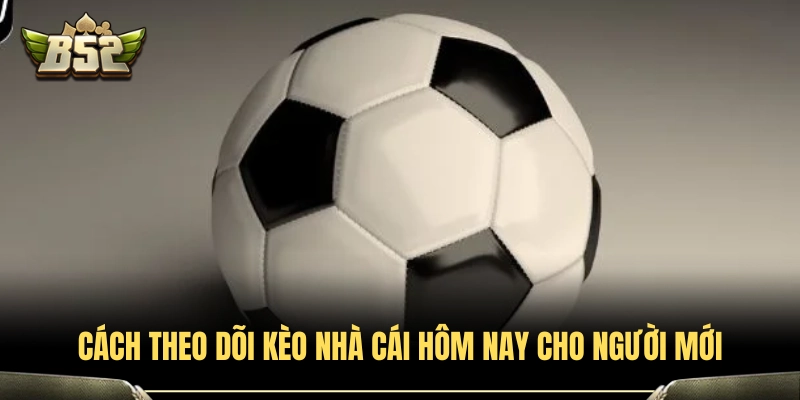 Kèo Nhà Cái Hôm Nay - Cập Nhật Tỷ Lệ Cược Chuẩn Xác Nhất 4 Cách xem và đọc bảng kèo nhà cái chuẩn xác tại B52